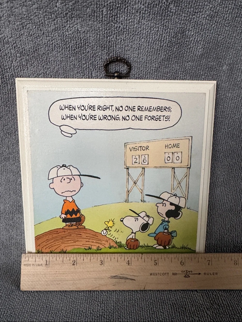 Peanuts Charlie Brown Baseball Wall Plaque - White Frame